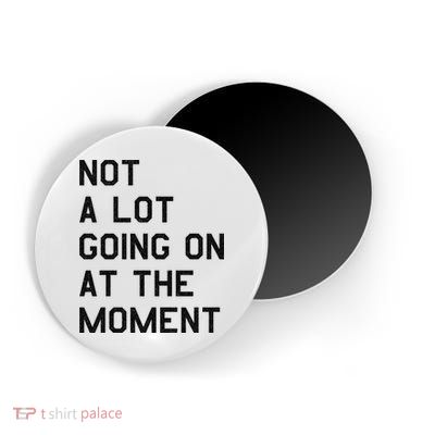 Not A Lot Going On At The Moment Magnet