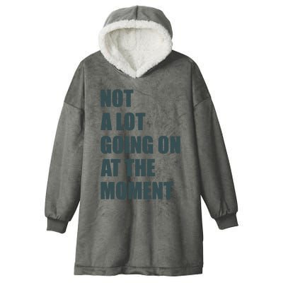 Not A Lot Going On At The Moment Humor Hooded Wearable Blanket