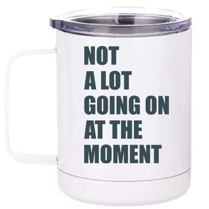 Not A Lot Going On At The Moment Humor 12 oz Stainless Steel Tumbler Cup