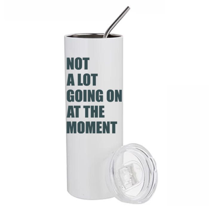 Not A Lot Going On At The Moment Humor Stainless Steel Tumbler