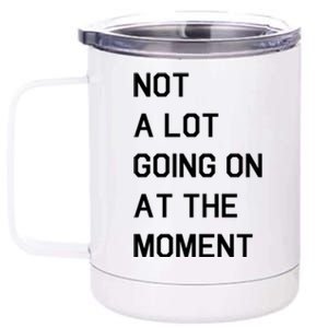 Not A Lot Going On At The Moment 12 oz Stainless Steel Tumbler Cup