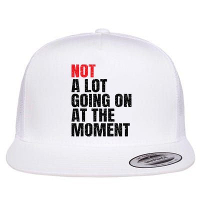 Not a Lot Going on at the Moment Vintage Flatbill Hat