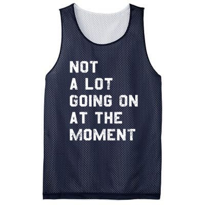 Not A Lot Going On At The Moment Funny Gift Mesh Reversible Basketball Jersey Tank