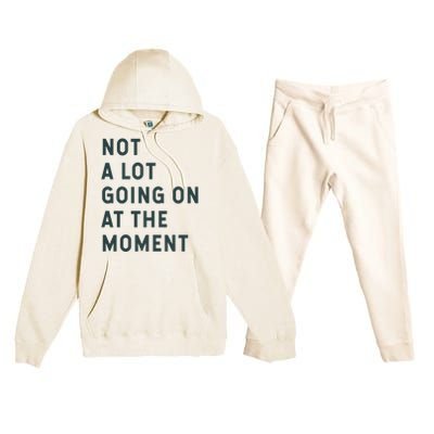 Not A Lot Going On At The Moment Premium Hooded Sweatsuit Set