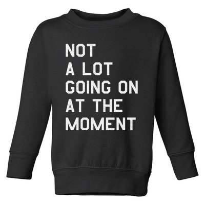 Not A Lot Going On At The Moment Toddler Sweatshirt