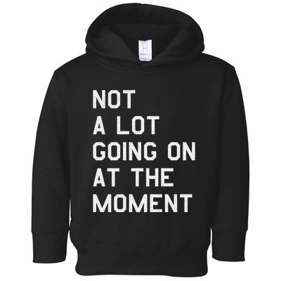 Not A Lot Going On At The Moment Toddler Hoodie