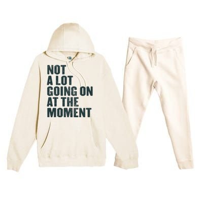 Not A Lot Going On At The Moment Premium Hooded Sweatsuit Set