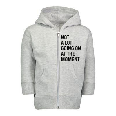 Not A Lot Going On At The Moment Toddler Zip Fleece Hoodie