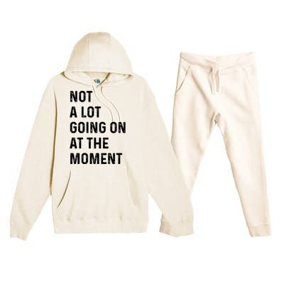 Not A Lot Going On At The Moment Premium Hooded Sweatsuit Set