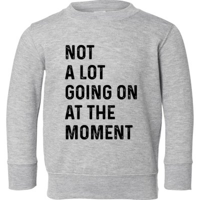 Not A Lot Going On At The Moment Toddler Sweatshirt