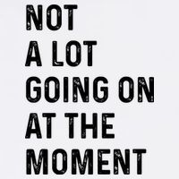 Not A Lot Going On At The Moment Tumbler
