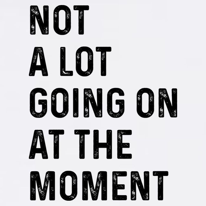Not A Lot Going On At The Moment Tumbler