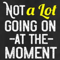 Not A Lot Going On At The Moment 12oz Stainless Steel Coffee Mug