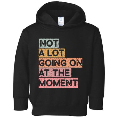 Not a Lot Going on at the Moment Toddler Hoodie