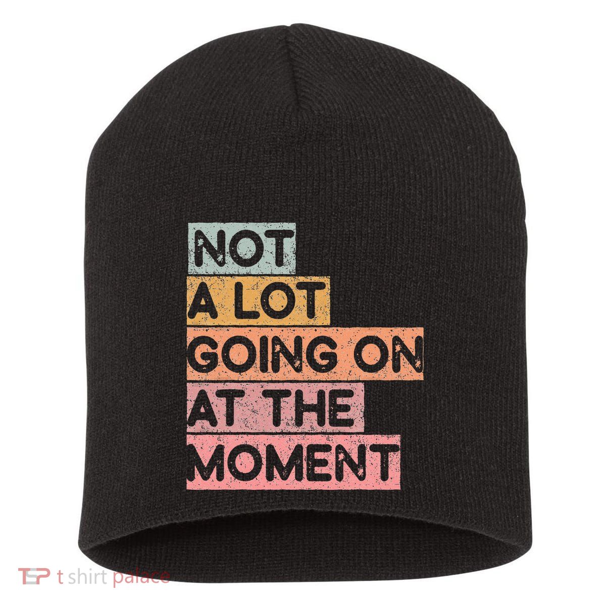 Not a Lot Going on at the Moment Short Acrylic Beanie