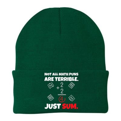 Not All Math Jokes Are Terrible Just Sum - Math Teacher Pun Premium Knit Cap Winter Beanie