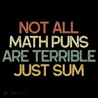 Not All Math Puns Are Terrible Just Sum Mathematician Gift Premium T-Shirt