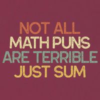 Not All Math Puns Are Terrible Just Sum Mathematician Gift 16oz Travel Tumbler