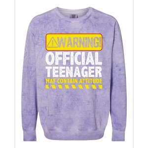 Nager Art N 13 Year Old Bday Colorblast Crewneck Sweatshirt