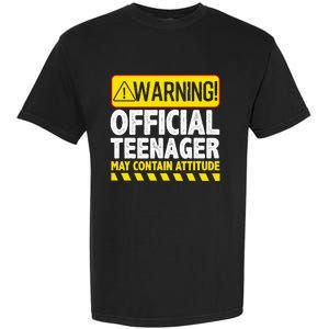 Nager Art N 13 Year Old Bday Garment-Dyed Heavyweight T-Shirt