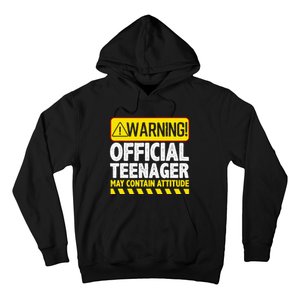 Nager Art N 13 Year Old Bday Hoodie