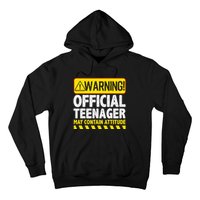 Nager Art N 13 Year Old Bday Hoodie