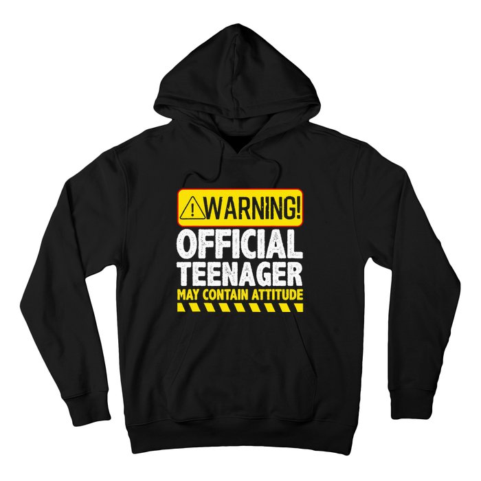 Nager Art N 13 Year Old Bday Hoodie