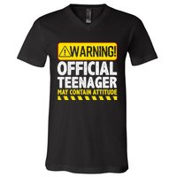 Nager Art N 13 Year Old Bday V-Neck T-Shirt