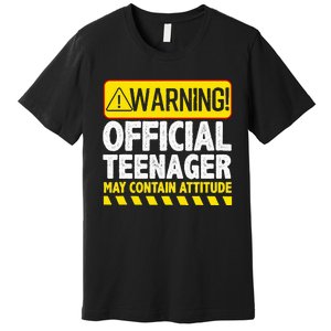 Nager Art N 13 Year Old Bday Premium T-Shirt