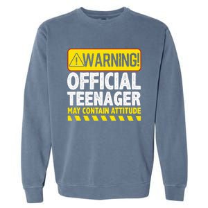 Nager Art N 13 Year Old Bday Garment-Dyed Sweatshirt