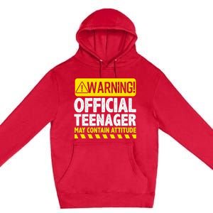 Nager Art N 13 Year Old Bday Premium Pullover Hoodie