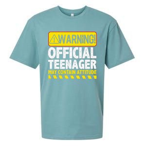 Nager Art N 13 Year Old Bday Sueded Cloud Jersey T-Shirt