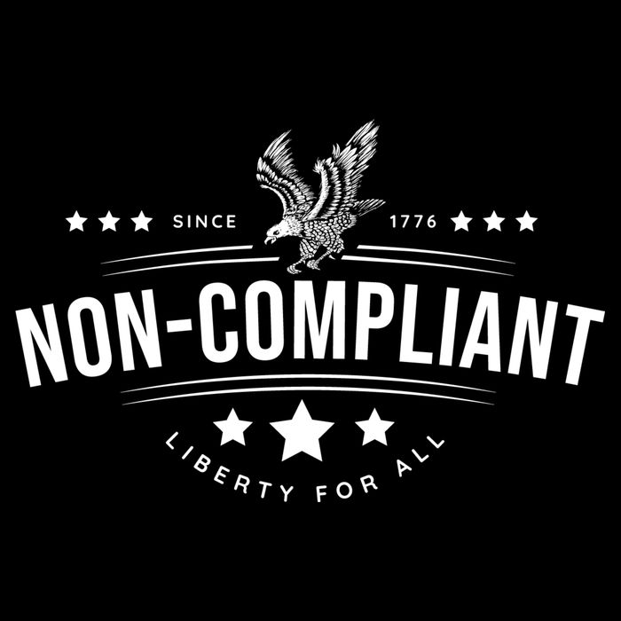 Non-Compliant American Impact Tech Backpack