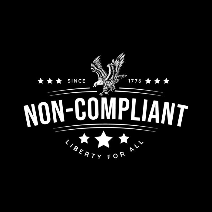 Non–Compliant America Sustainable Knit Beanie