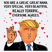 Nana Donald Trump Visor