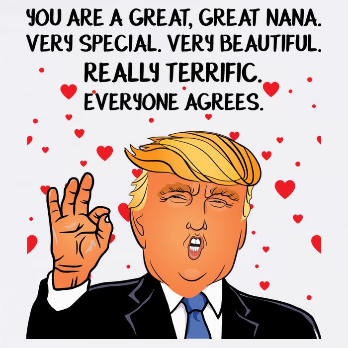 Nana Donald Trump Visor