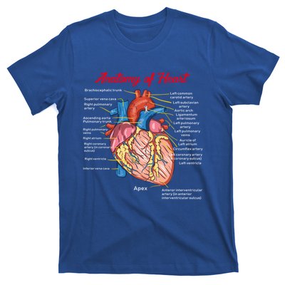 Nurse Anatomy Of Heart Art Cute Gift T-Shirt