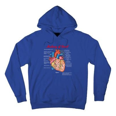 Nurse Anatomy Of Heart Art Cute Gift Tall Hoodie