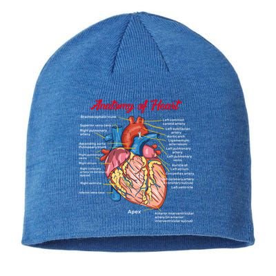 Nurse Anatomy Of Heart Art Gift Sustainable Beanie