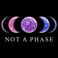 Not A Phase Moon Phases LGBT Pride T-Shirt