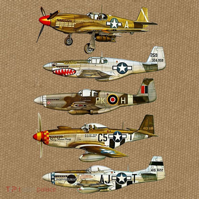 North American P51 Mustang WW2 Fighter Cotton Canvas Backpack