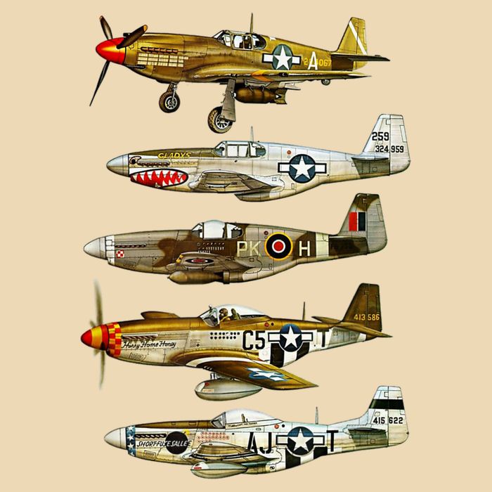 North American P51 Mustang WW2 Fighter Bag