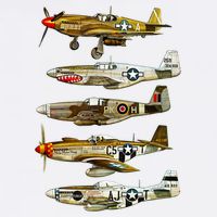 North American P51 Mustang WW2 Fighter Wool Snapback Cap
