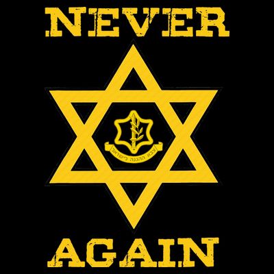 Never Again Support Israel Jewish Star Of David Idf Logo T-Shirt
