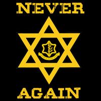 Never Again Support Israel Jewish Star Of David Idf Logo T-Shirt