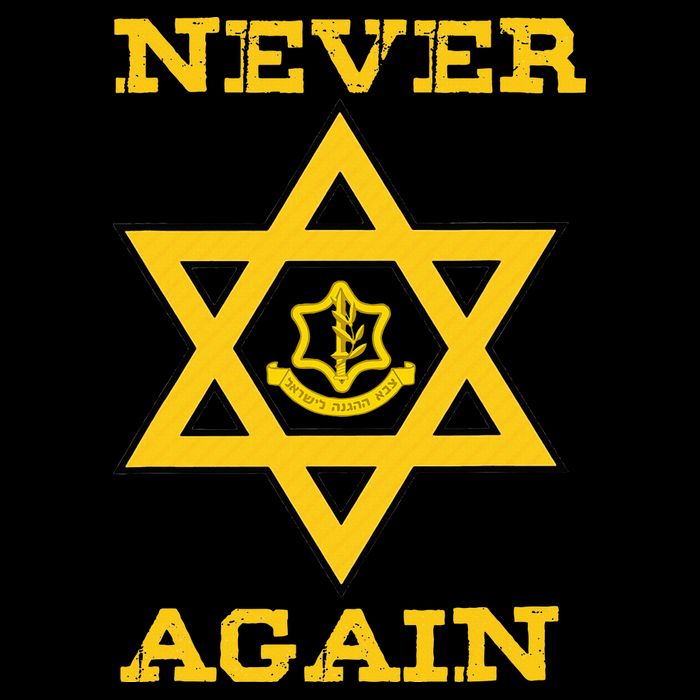 Never Again Support Israel Jewish Star Of David Idf Logo T-Shirt