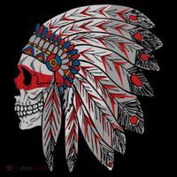 Native American Skull Feathers T-Shirt