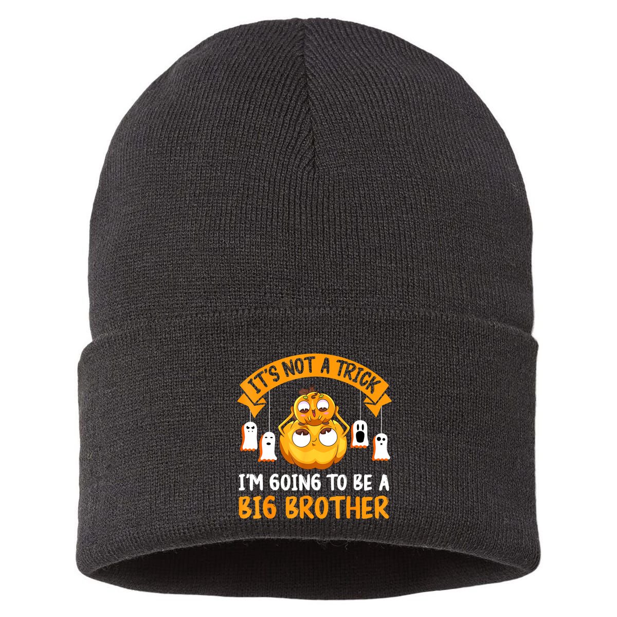Not A Trick IM Going To Be A Big Brother Again Halloween Sustainable Knit Beanie