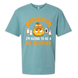 Not A Trick IM Going To Be A Big Brother Again Halloween Sueded Cloud Jersey T-Shirt