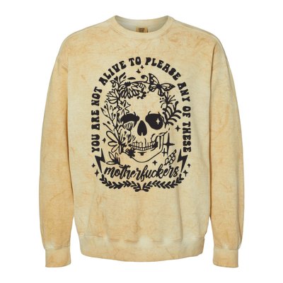 Not Alive To Please Sarcastic Adult Humor Boho Retro Gothic Skeleton Colorblast Crewneck Sweatshirt